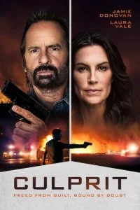  Преступник  смотреть онлайн бесплатно в хорошем HD качестве на лордфильм