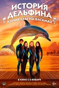  История дельфина: Каникулы на Багамах  смотреть онлайн бесплатно в хорошем HD качестве на лордфильм